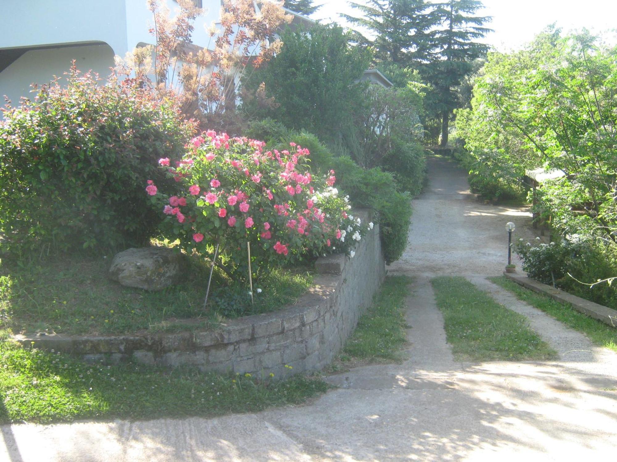 ויטרבו La Villa Di Lucia מראה חיצוני תמונה