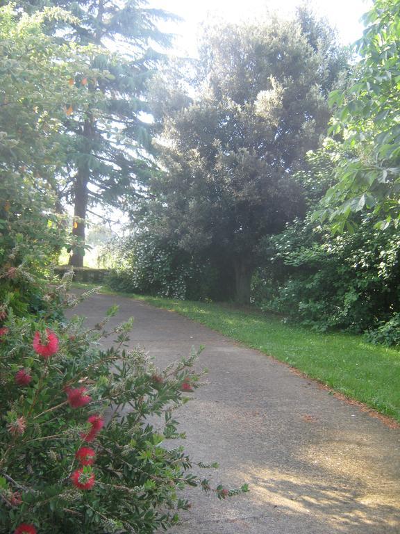 ויטרבו La Villa Di Lucia מראה חיצוני תמונה