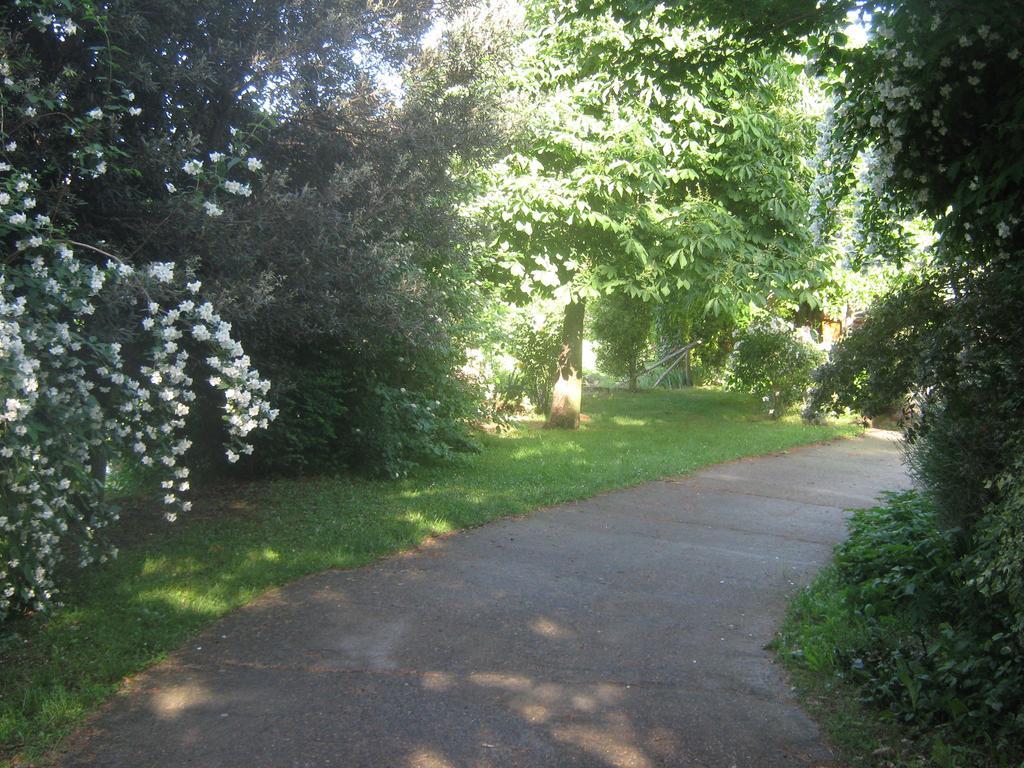 ויטרבו La Villa Di Lucia חדר תמונה