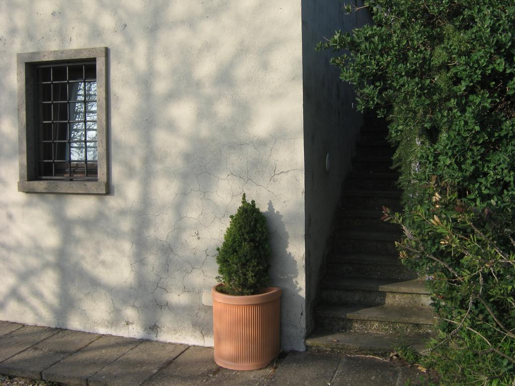 ויטרבו La Villa Di Lucia מראה חיצוני תמונה